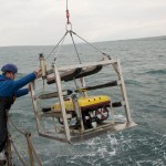 Roving Eye ROV is lowered into the sea off Orkney (credit Keith Bichan)