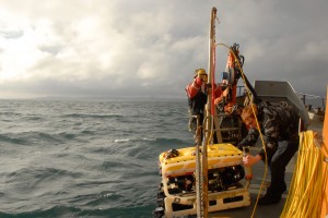 Roving Eye ROV is lowered into the sea off Orkney (credit Keith Bichan)