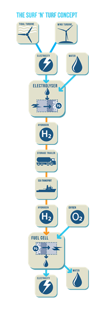 The Surf n Turf Concept infographic