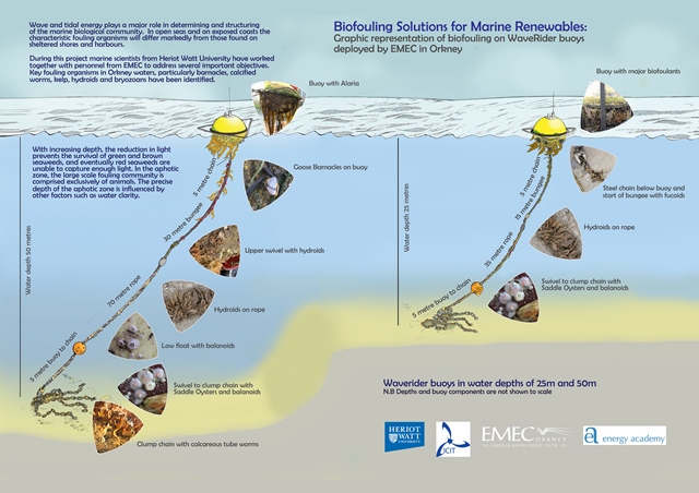 Biofouling Solutions for Marine Renewables (Credit: ICIT)