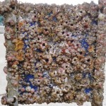 Heavily fouled BioFREE panel recovered in Nagasaki, Japan (Credit, Prof. Yusaku Kyozuka)