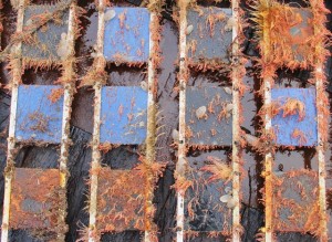 BioFREE panel recovered from EMEC's Shapinsay Sound tidal test site (Credit, Andrew Want, HWU-ICIT)