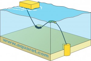 Lazy S link between the device and the anchor (wave rider buoys)