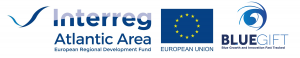 Blue-GIFT logo with Interreg AA -HighRes