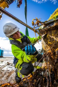 Cleaning biofouling from waverider buoy (Credit Colin Keldie, EMEC)