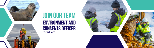 Environment and Consents Officer