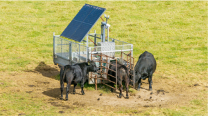 ICNZ - methane emissions